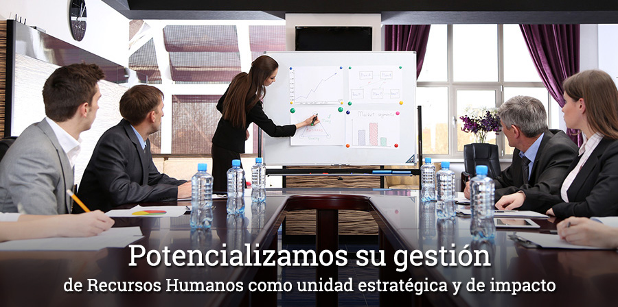 FP organizacional
